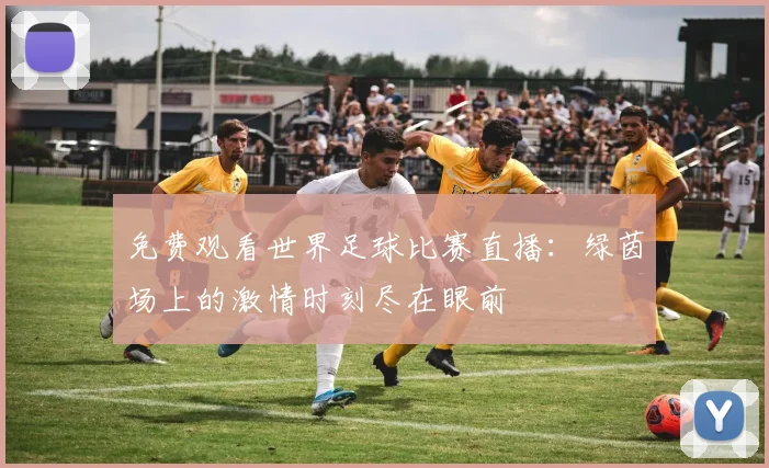免费观看世界足球比赛直播：绿茵场上的激情时刻尽在眼前